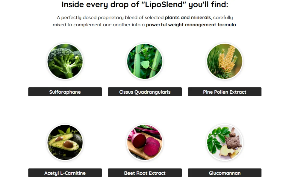 LipoSlend 